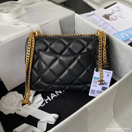 Hyper Peter FLAP BAG CHANEL 0811